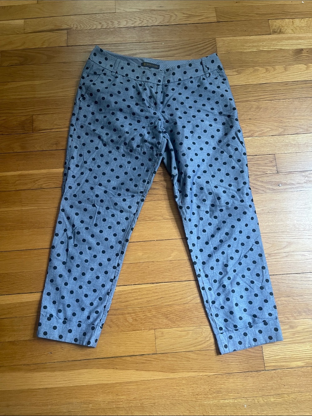 Polka Dot Stretch Ankle Pants - Blue with Black Dots